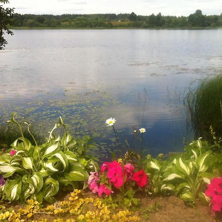 Dvinumajas Villa Balvi Buitenkant foto