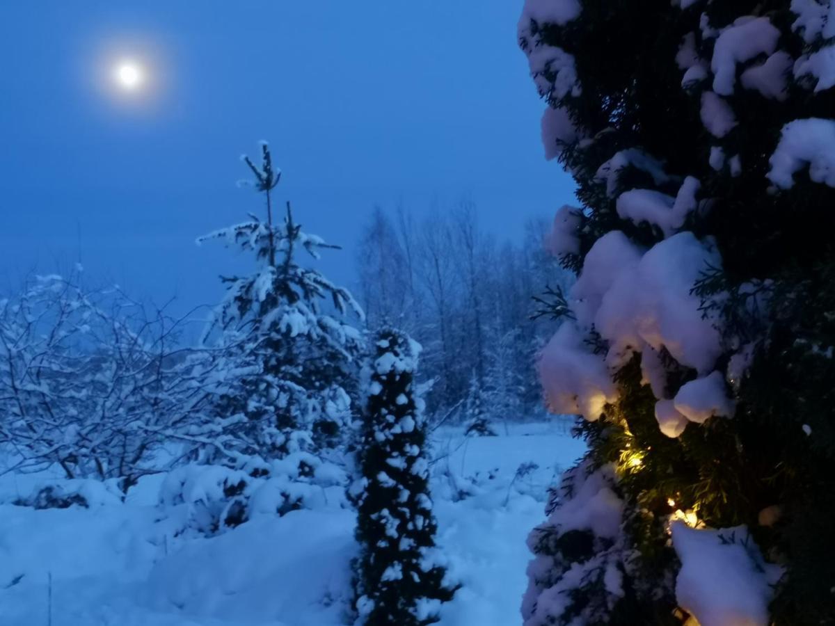 Dvinumajas Villa Balvi Buitenkant foto