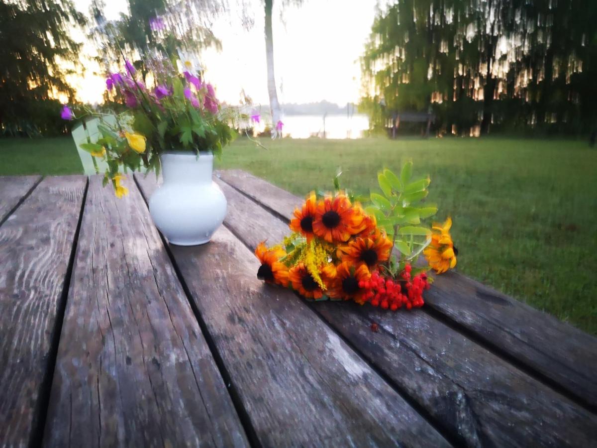 Dvinumajas Villa Balvi Buitenkant foto