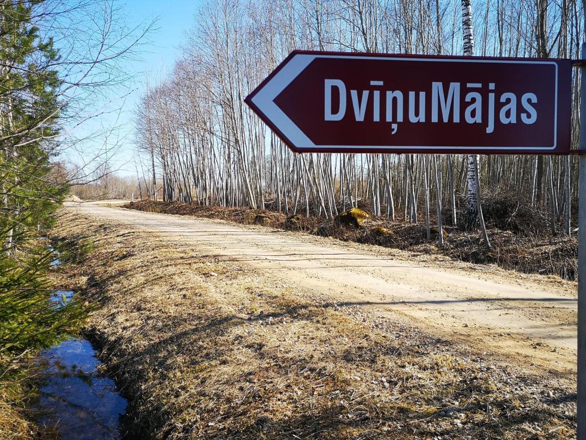 Dvinumajas Villa Balvi Buitenkant foto