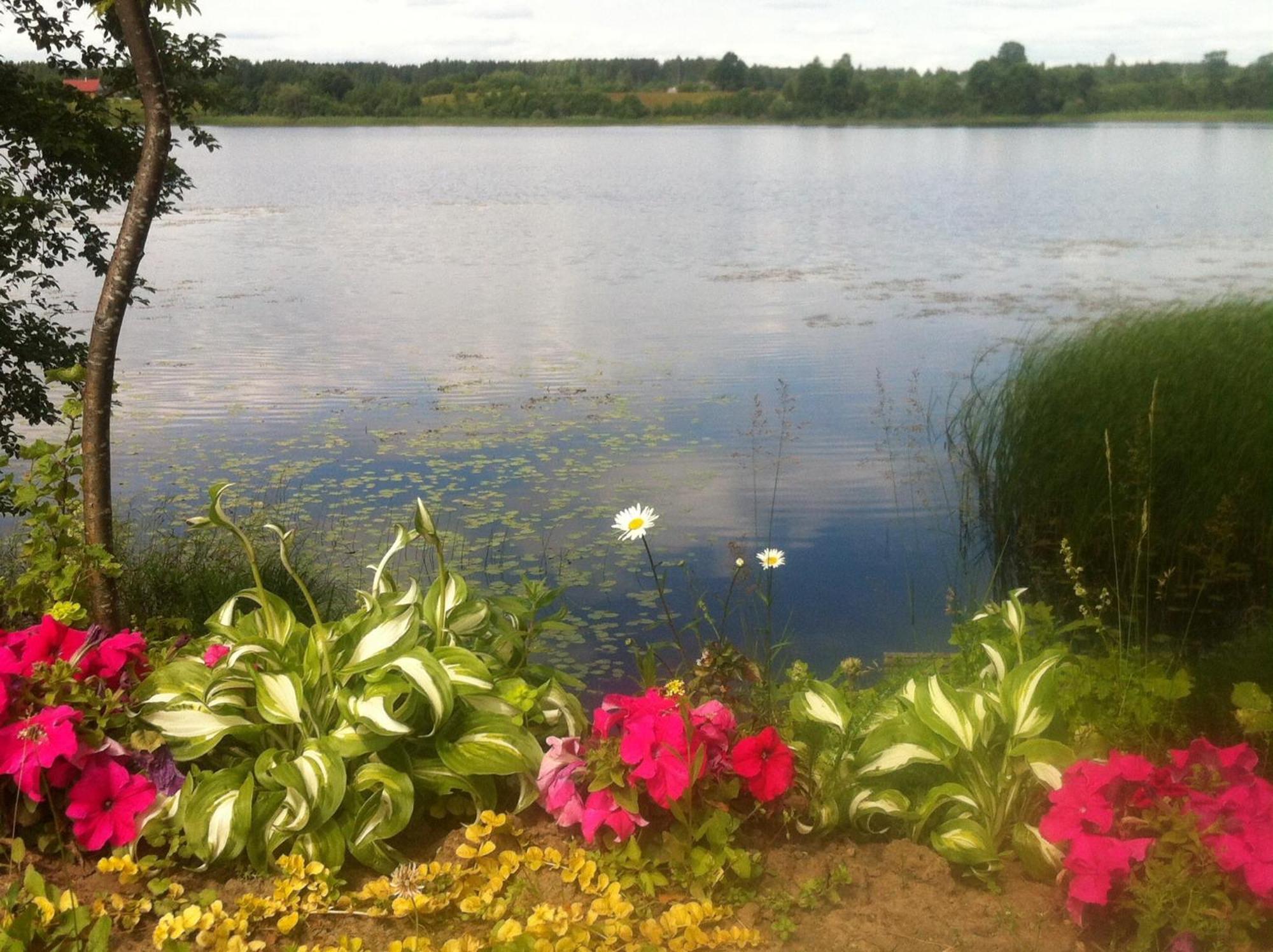 Dvinumajas Villa Balvi Buitenkant foto