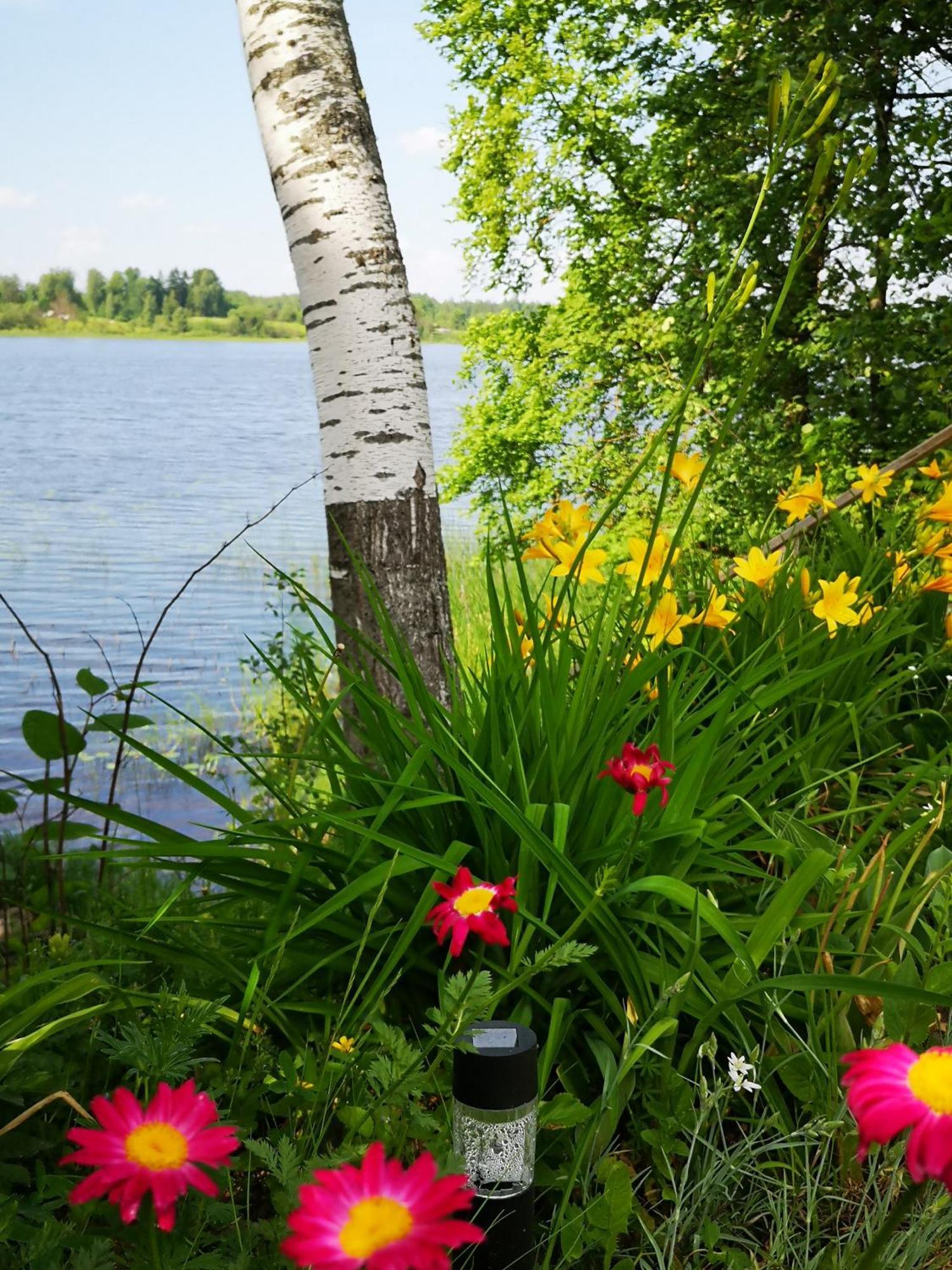 Dvinumajas Villa Balvi Buitenkant foto
