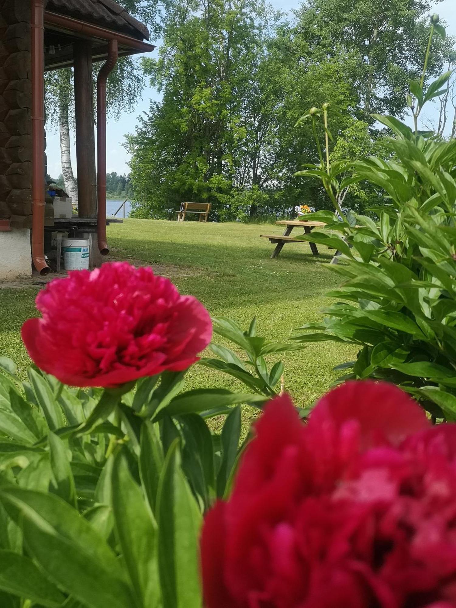 Dvinumajas Villa Balvi Buitenkant foto